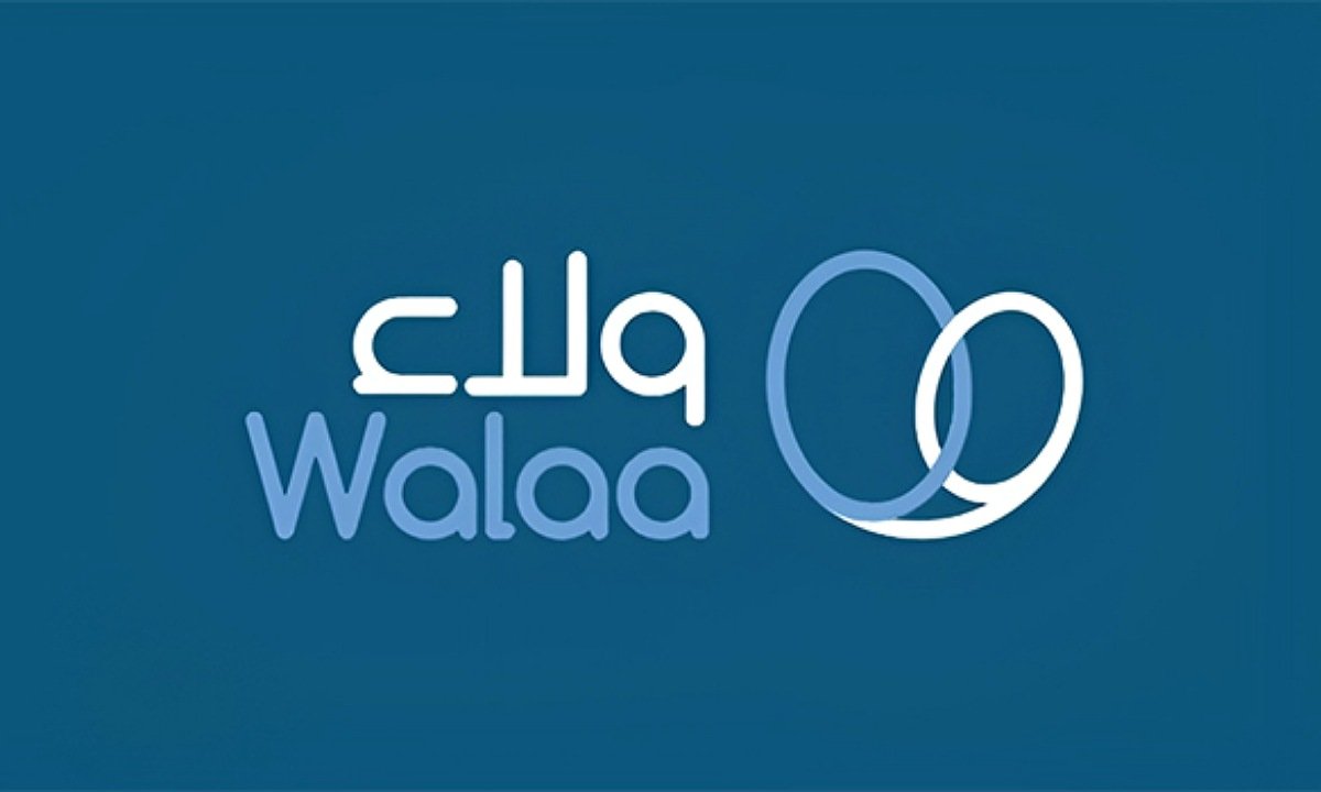 سهم شركة ولاء