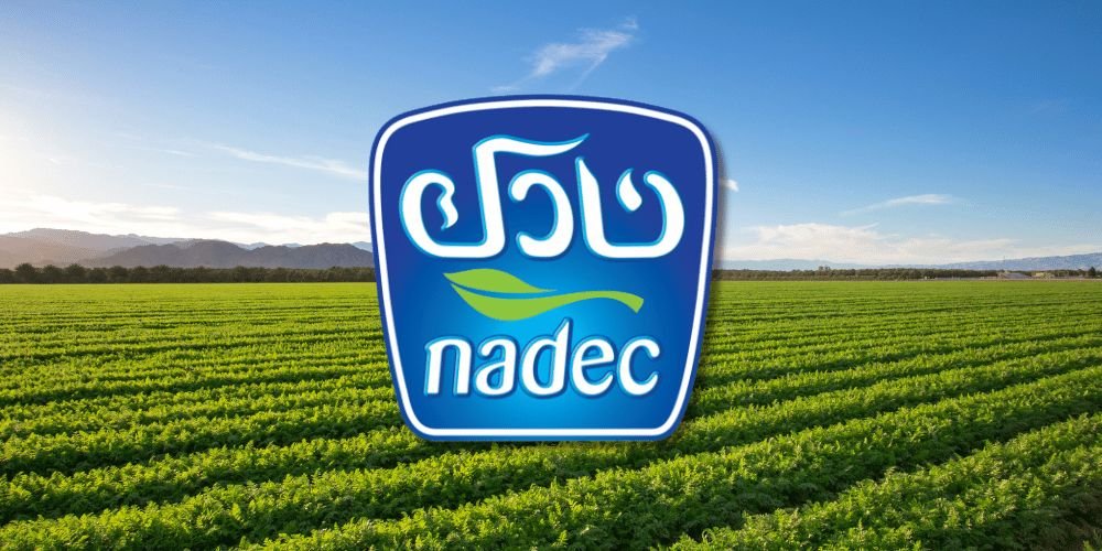 سهم شركة نادك