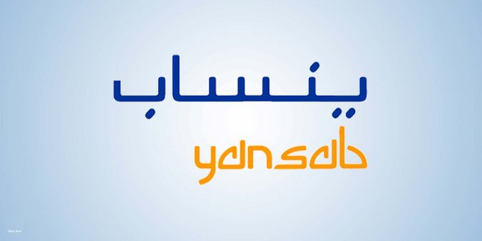 سهم شركة ينساب