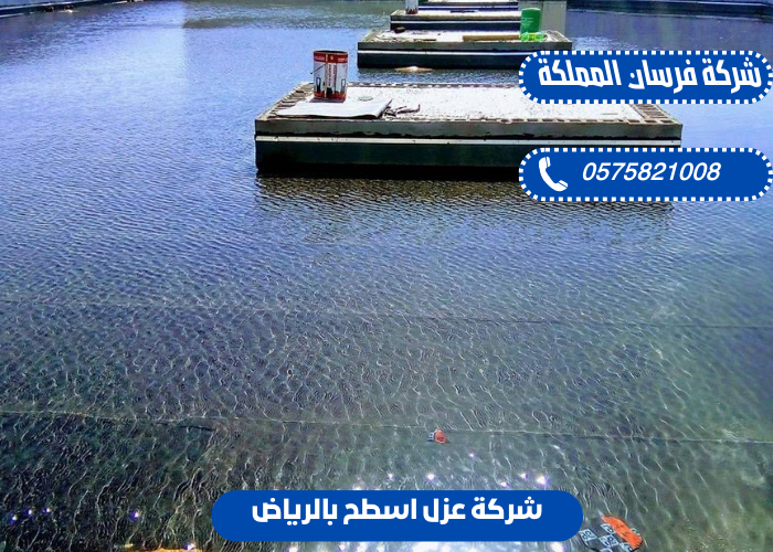 عزل الحمامات بالرياض