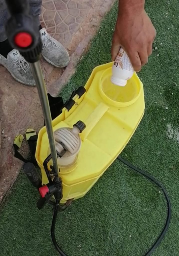 شركة مكافحة حشرات بالرياض