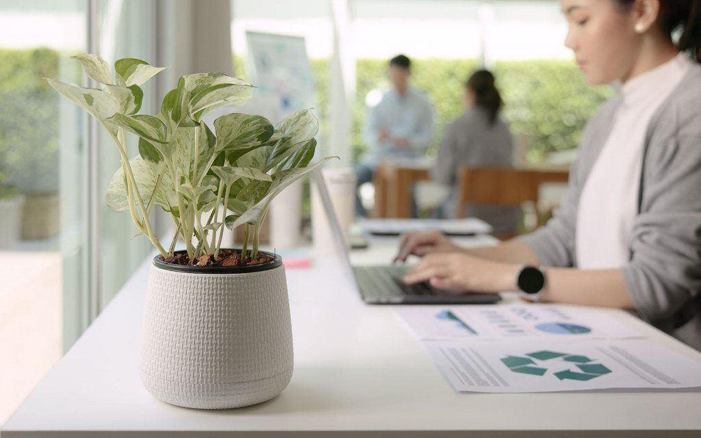 مشاريع نسائية ناجحة في الخليج