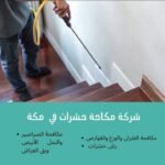 شركة مكافحة حشرات بجدة