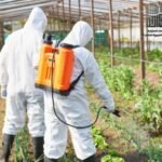 فوائد اختيار شركة مكافحة حشرات بالأحساء الاحترافية لإبادة الصراصير والنمل