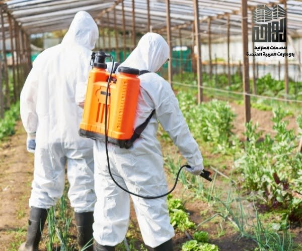 فوائد اختيار شركة مكافحة حشرات بالأحساء الاحترافية لإبادة الصراصير والنمل