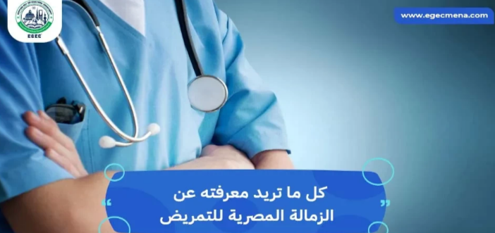 الدراسة في مصر