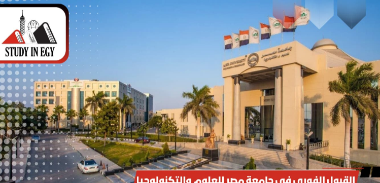 تعليم العالي