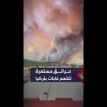 حرائق مستعرة تلتهم الغابات في مقاطعة كاناكالي بتركيا