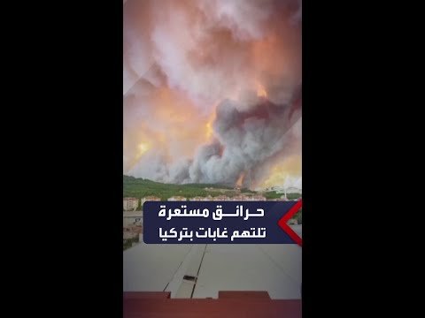 حرائق مستعرة تلتهم الغابات في مقاطعة كاناكالي بتركيا