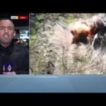 أبرز ما يتم تناوله في فلوريدا بشأن خطة سلام تنهي حرب أوكرانيا