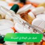 الدراسة في مصر