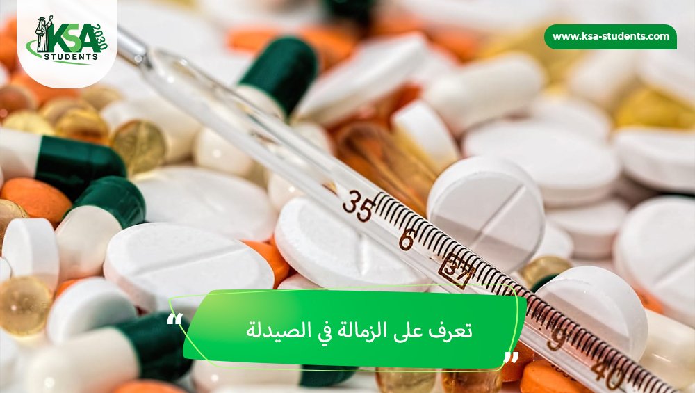 الدراسة في مصر