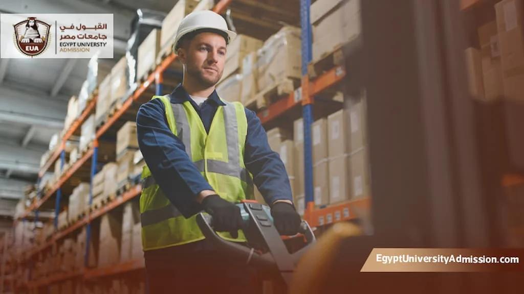 الدراسة في مصر