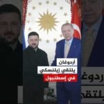 الرئيس التركي يلتقي نظيره الأوكراني في مقر الرئاسة في مدينة إسطنبول