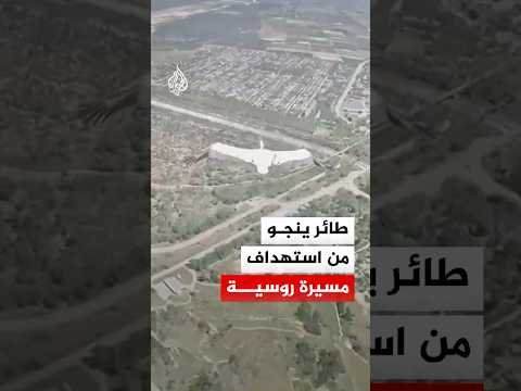 في اللحظات الأخيرة.. طائر لقلق ينجو من استهداف مسيرة روسية