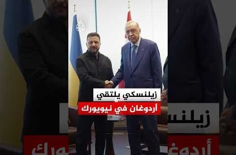 زيلنسكي يلتقي أردوغان على هامش أعمال الجمعية العامة للأمم المتحدة
