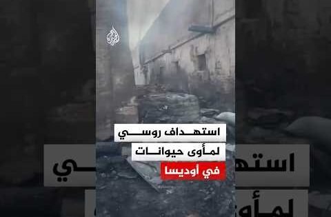 استهداف روسي لمأوى حيوانات في أوديسا