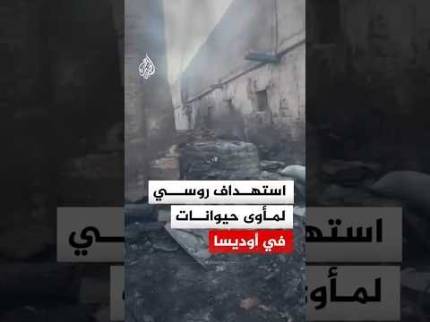 استهداف روسي لمأوى حيوانات في أوديسا